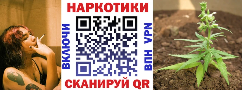 Купить закладку Кодеин  COCAIN  Галлюциногенные грибы  Каннабис  Гашиш  Меф мяу мяу  Alpha PVP  Талица