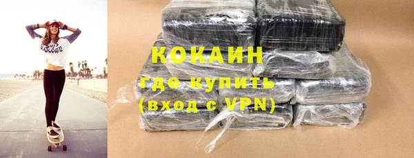 стаф Аркадак