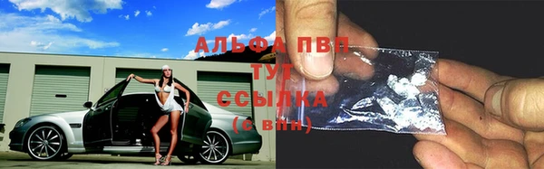 стаф Аркадак