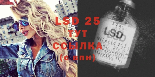 стаф Аркадак