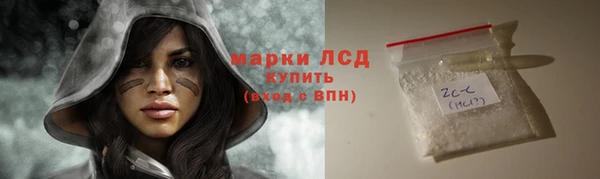 стаф Аркадак