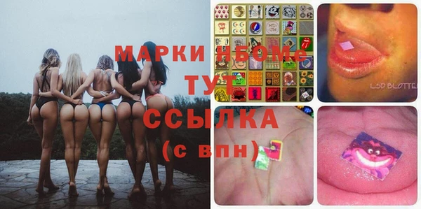 стаф Аркадак