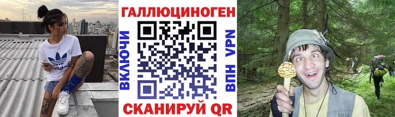 Псилоцибиновые грибы прущие грибы  Купить закладки  Талица 