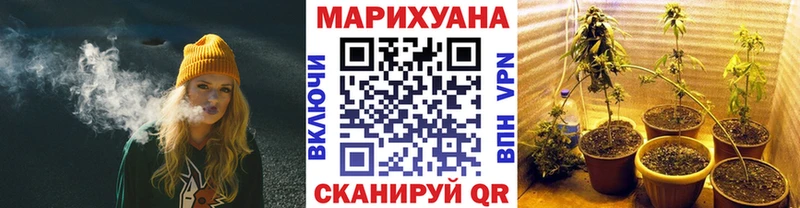Бошки Шишки план  Купить  Талица 